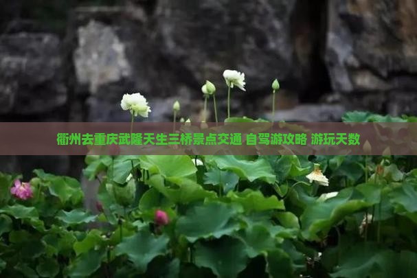衢州去重庆武隆天生三桥景点交通+自驾游攻略+游玩天数