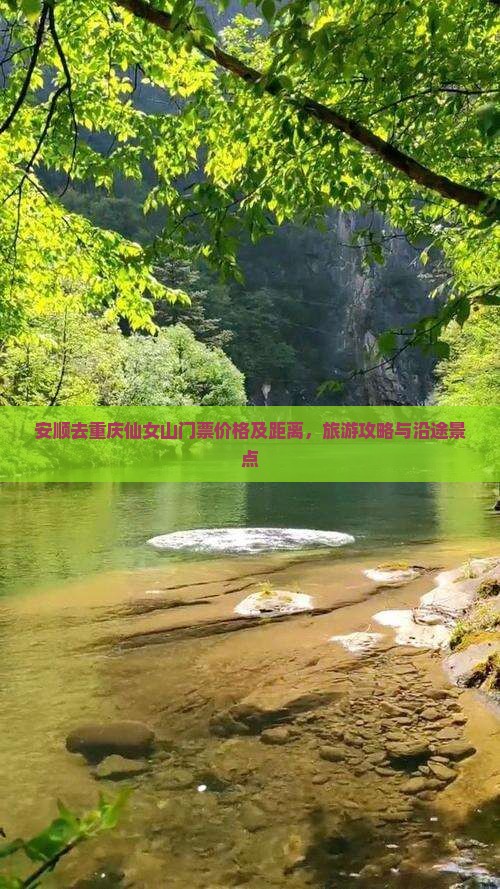 安顺去重庆仙女山门票价格及距离，旅游攻略与沿途景点