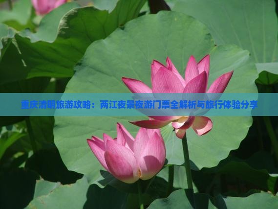 重庆清明旅游攻略：两江夜景夜游门票全解析与旅行体验分享