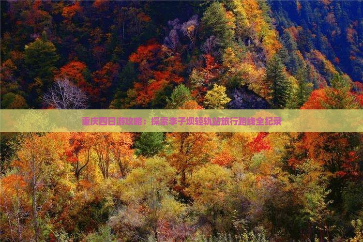 重庆四日游攻略：探索李子坝轻轨站旅行路线全纪录