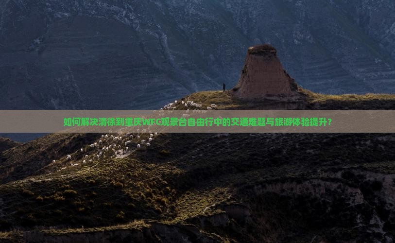如何解决清徐到重庆WFC观景台自由行中的交通难题与旅游体验提升？