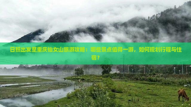 日照出发至重庆仙女山旅游攻略：哪些景点值得一游，如何规划行程与住宿？