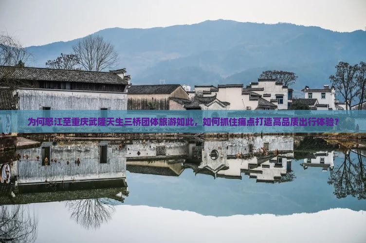 为何怒江至重庆武隆天生三桥团体旅游如此，如何抓住痛点打造高品质出行体验？