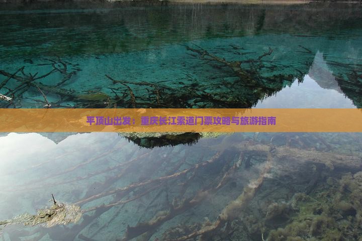 平顶山出发：重庆长江索道门票攻略与旅游指南