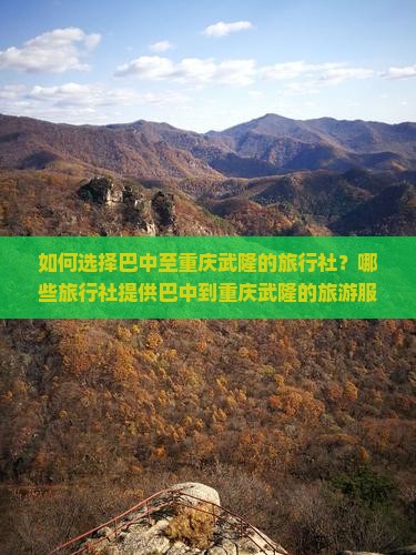如何选择巴中至重庆武隆的旅行社？哪些旅行社提供巴中到重庆武隆的旅游服务？