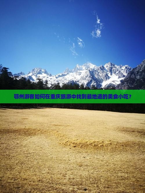 鄂州游客如何在重庆旅游中找到最地道的美食小吃？