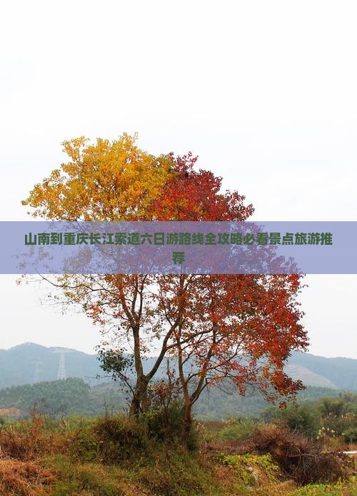 山南到重庆长江索道六日游路线全攻略必看景点旅游推荐