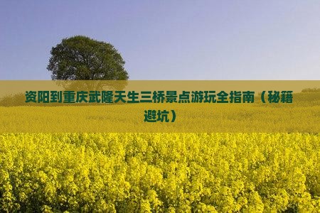 资阳到重庆武隆天生三桥景点