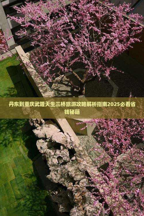 丹东到重庆武隆天生三桥个人游