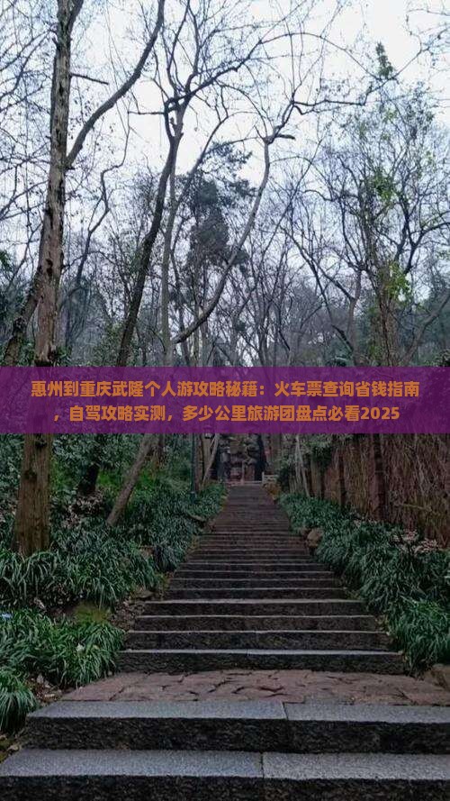 惠州到重庆武隆个人游