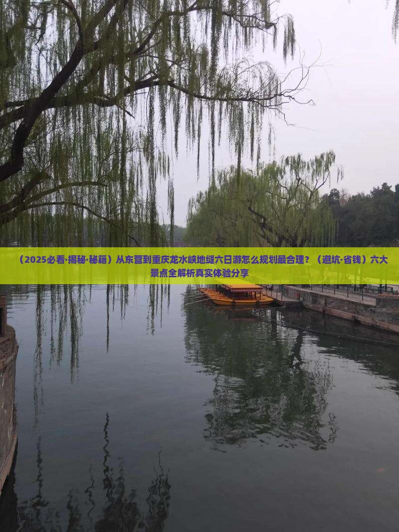 东营到重庆龙水峡地缝六日游