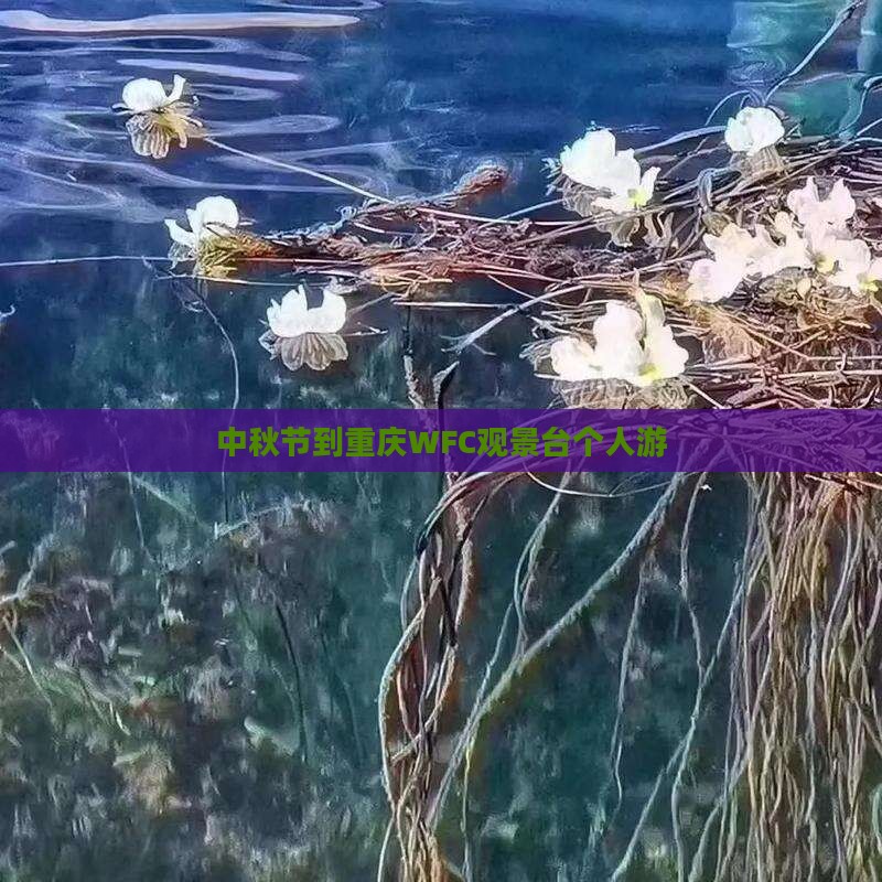 中秋节到重庆wfc观景台个人游