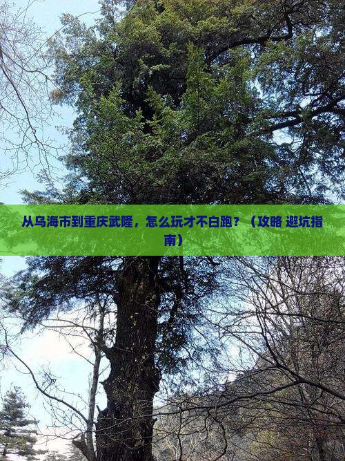 乌海市到重庆武隆哪里玩