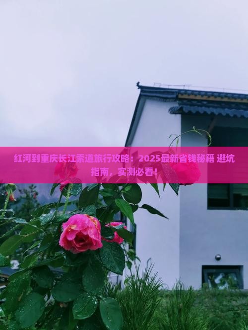 红河到重庆长江索道旅行社
