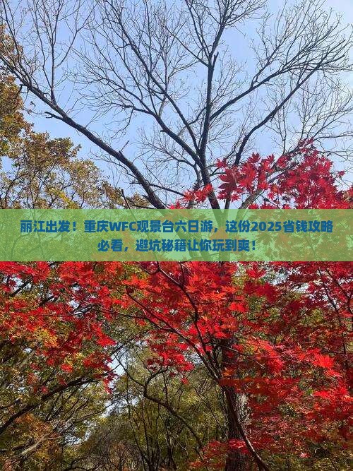 丽江去重庆wfc观景台六日游 丽江去重庆wfc观景台六日游