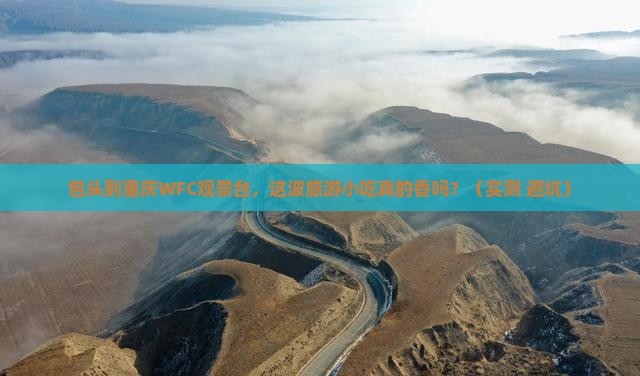 包头到重庆wfc观景台旅游小吃