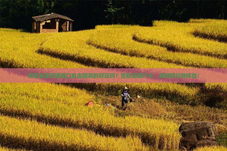 资阳去重庆磁器口自由团