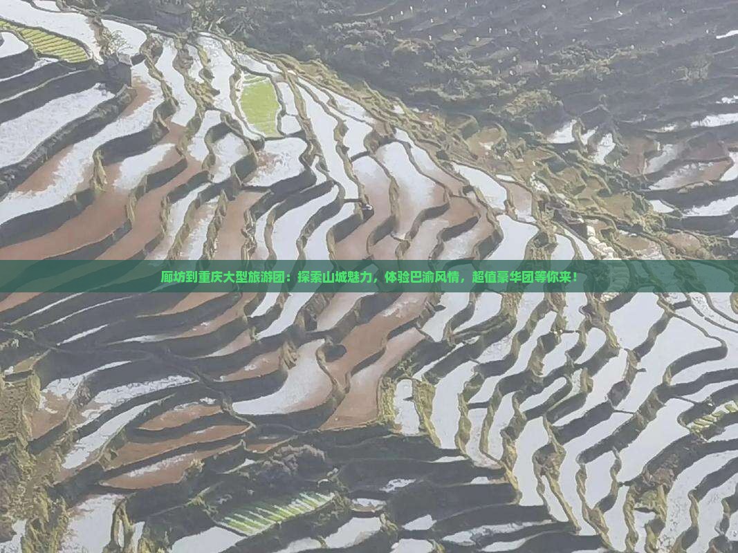 廊坊到重庆大型旅游团
