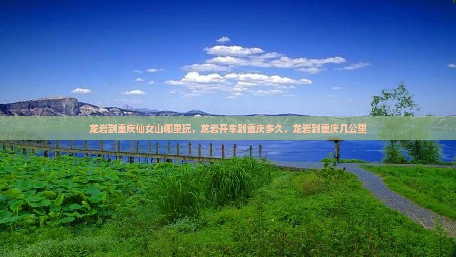 龙岩到重庆仙女山哪里玩