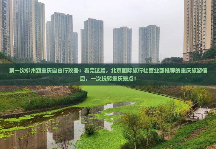 柳州到重庆哪里玩