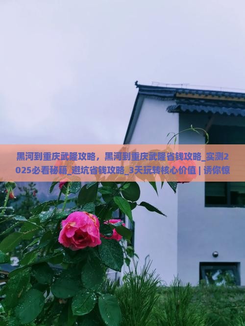 黑河到重庆武隆攻略