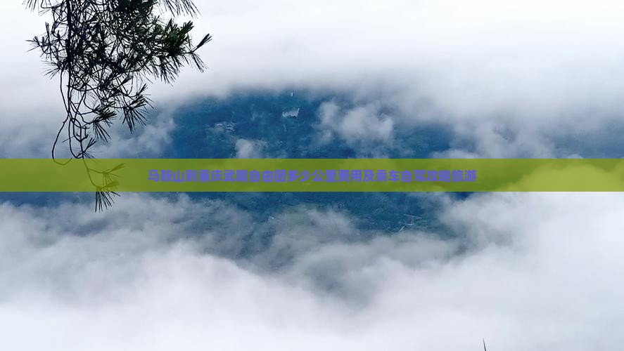 马鞍山到重庆武隆自由团
