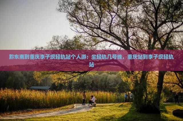 黔东南到重庆李子坝轻轨站个人游