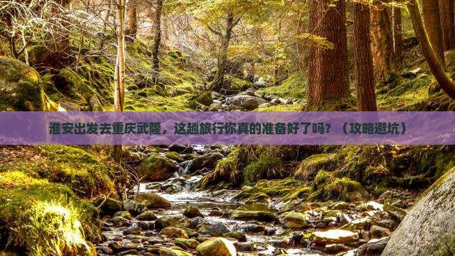 淮安去重庆武隆旅行社