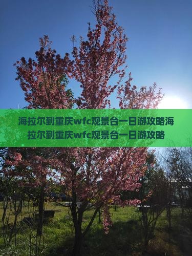 海拉尔到重庆wfc观景台一日