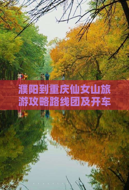 濮阳到重庆仙女山旅游