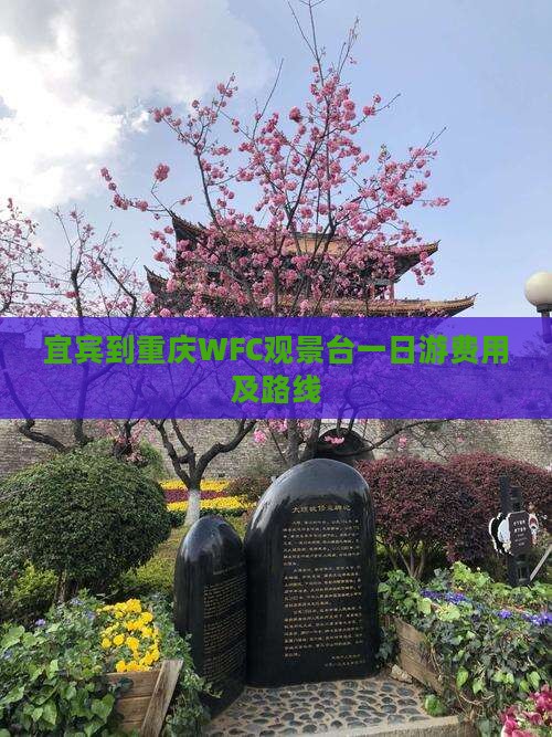 宜宾到重庆WFC观景台一日游费用及路线