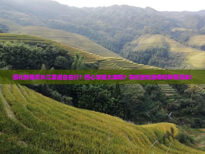 绥化到重庆长江索道自由行？担心攻略太麻烦？来份避坑指南和种草清单！