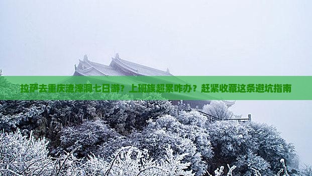 拉萨去重庆渣滓洞七日游？上班族超累咋办？赶紧收藏这条避坑指南
