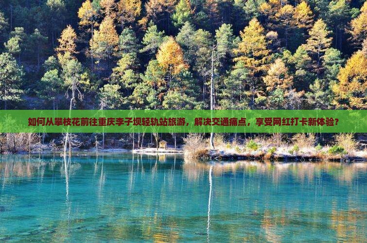 如何从攀枝花前往重庆李子坝轻轨站旅游，解决交通痛点，享受网红打卡新体验？