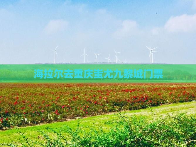 海拉尔去重庆蚩尤九黎城门票