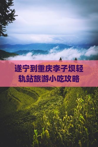遂宁到重庆李子坝轻轨站旅游小吃攻略