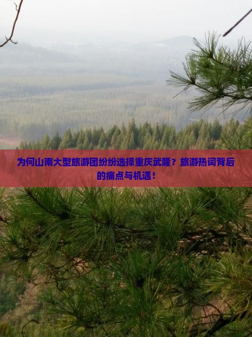 为何山南大型旅游团纷纷选择重庆武隆？旅游热词背后的痛点与机遇！