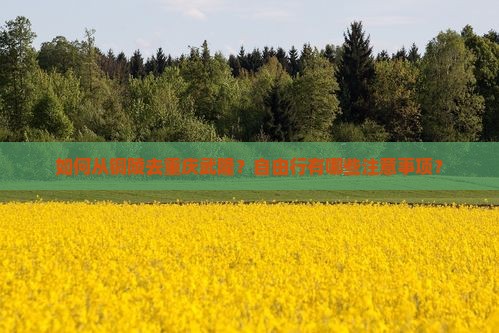 如何从铜陵去重庆武隆？自由行有哪些注意事项？