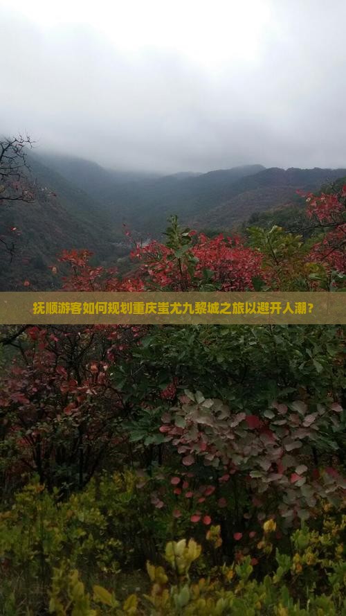 抚顺游客如何规划重庆蚩尤九黎城之旅以避开人潮？