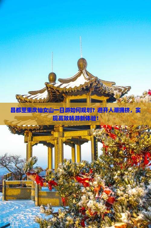 昌都至重庆仙女山一日游如何规划？避开人潮拥挤，实现高效畅游新体验！