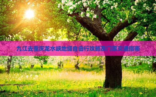 九江去重庆龙水峡地缝自由行攻略及门票交通指南
