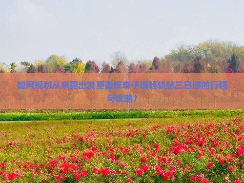如何规划从东莞出发至重庆李子坝轻轨站三日游的行程与攻略？