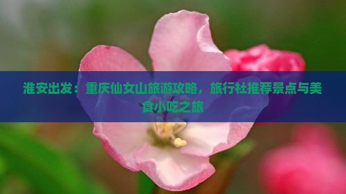 淮安出发：重庆仙女山旅游攻略，旅行社推荐景点与美食小吃之旅