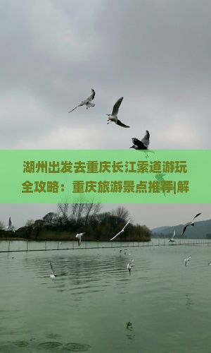湖州出发去重庆长江索道游玩全攻略：重庆旅游景点推荐|解放碑|旅行社|自由行路线信息