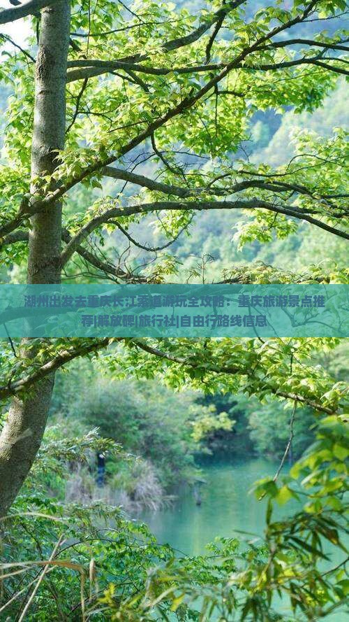 湖州出发去重庆长江索道游玩全攻略：重庆旅游景点推荐|解放碑|旅行社|自由行路线信息