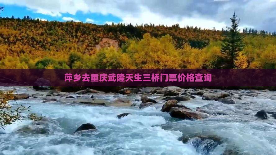 萍乡去重庆武隆天生三桥门票价格查询