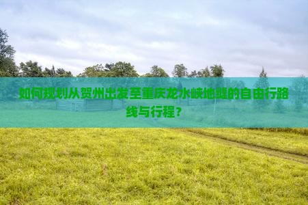如何规划从贺州出发至重庆龙水峡地缝的自由行路线与行程？