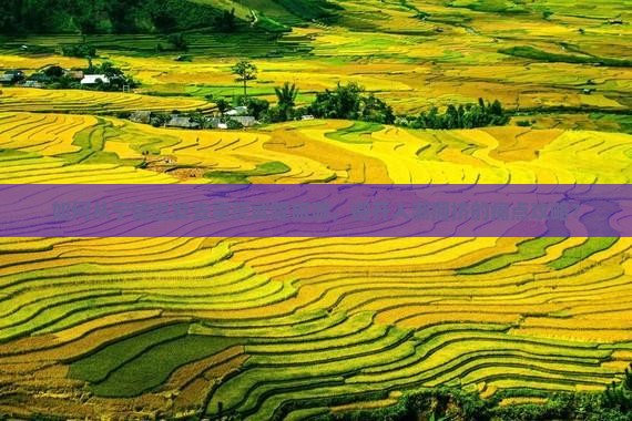 如何从宁德出发去重庆武隆旅游，避开人潮拥挤的痛点攻略？