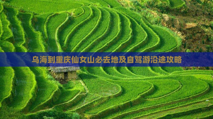 乌海到重庆仙女山必去地及自驾游沿途攻略