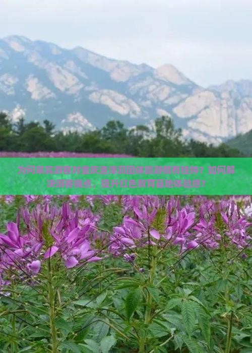 为何来宾游客对重庆渣滓洞团体旅游情有独钟？如何解决游客痛点，提升红色教育基地体验感？